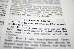 grace