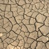 1091960_dry_ground